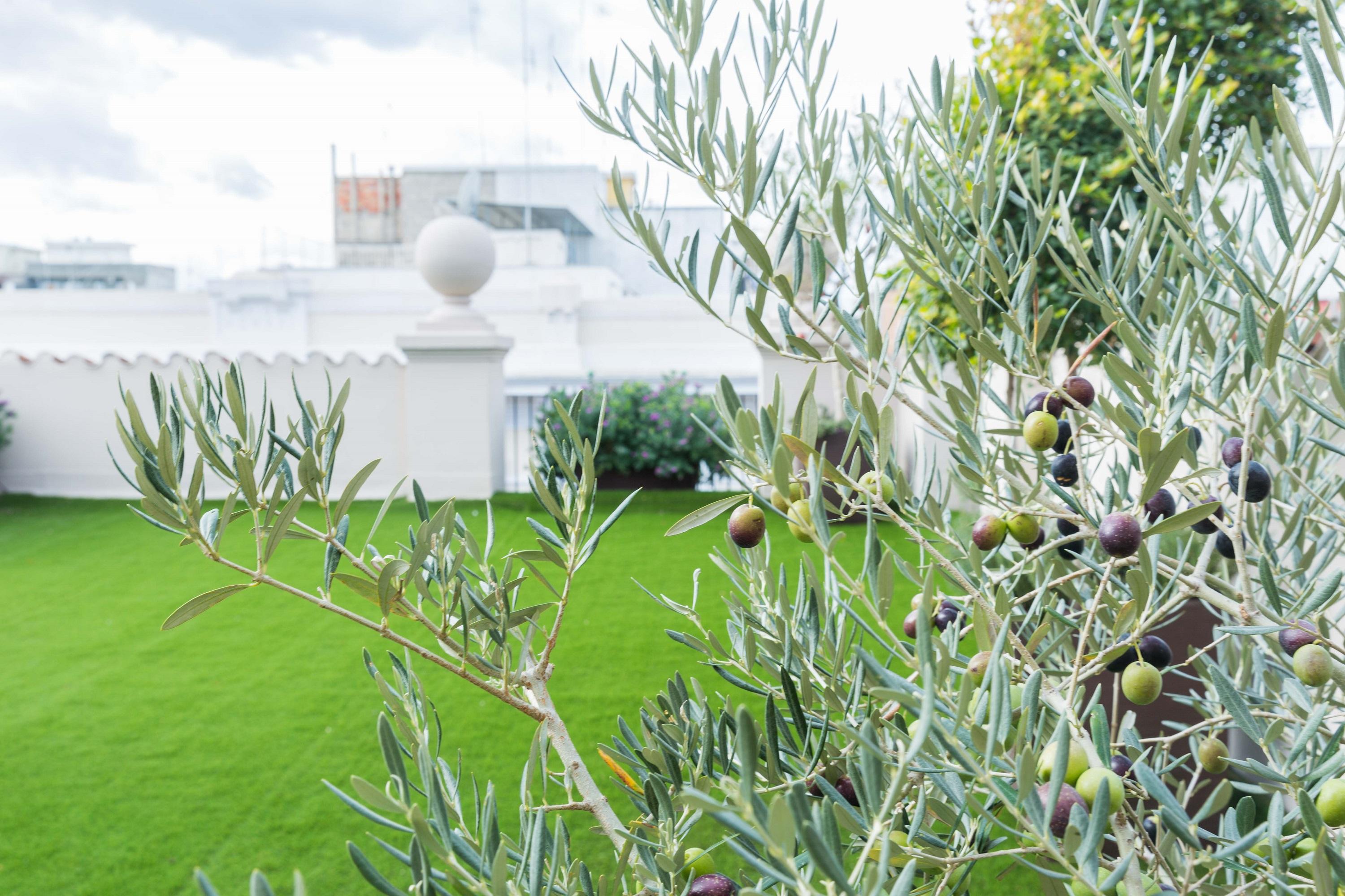 בארי 200 Rooms & Terrace מראה חיצוני תמונה